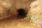 Surgencia de la Cueva del Agua (Archidona)