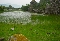 Laguna de Ftima (Ubrique)